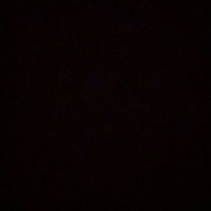 Meet your Posher, Zoe